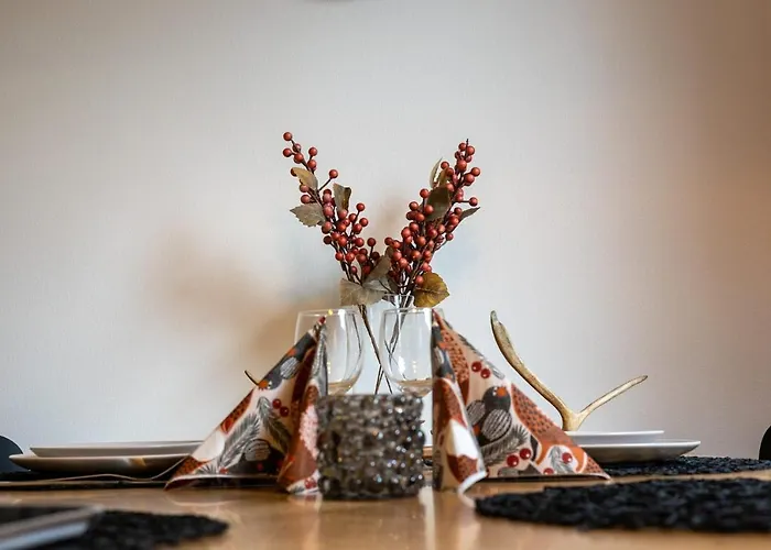 Naavis Ροβανιέμι